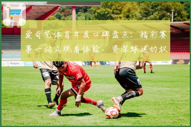 爱奇艺体育年度口碑盘点：精彩赛事一站式观看体验，资深球迷的权威推荐